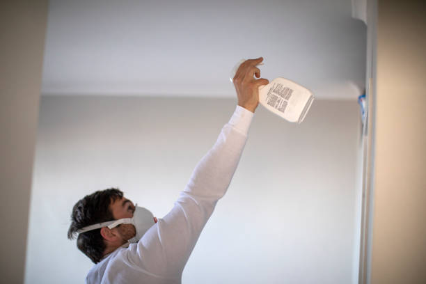Best Attic Mold Removal  in Tipton, CA