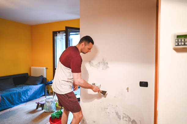 Office Mold Removal Services in Tipton, CA