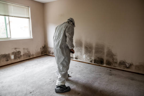 Best Mold Testing  in Tipton, CA