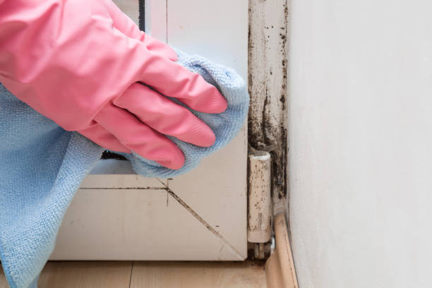 Best Professional Mold Removal  in Tipton, CA